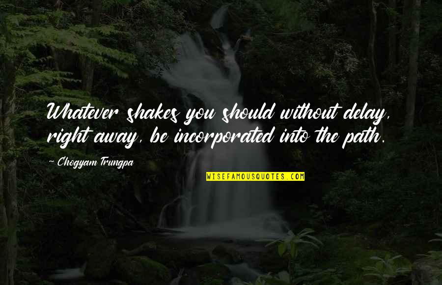 Jandle Quotes By Chogyam Trungpa: Whatever shakes you should without delay, right away, Jandle Quotes By Chogyam Trungpa: Whatever shakes you should without delay, right away,