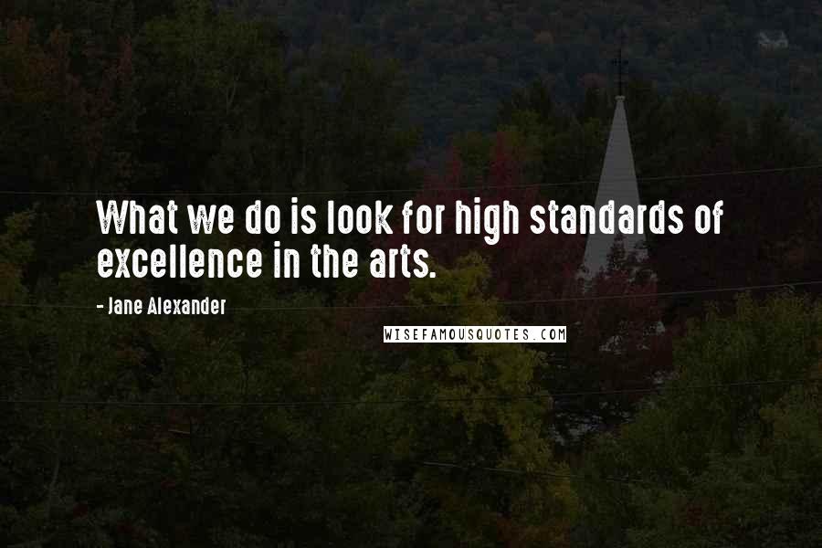 Jane Alexander quotes: What we do is look for high standards of excellence in the arts.