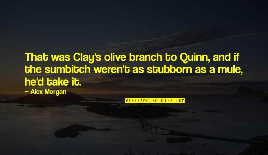 Jane Austen Inspired Quotes By Alex Morgan: That was Clay's olive branch to Quinn, and Jane Austen Inspired Quotes By Alex Morgan: That was Clay's olive branch to Quinn, and