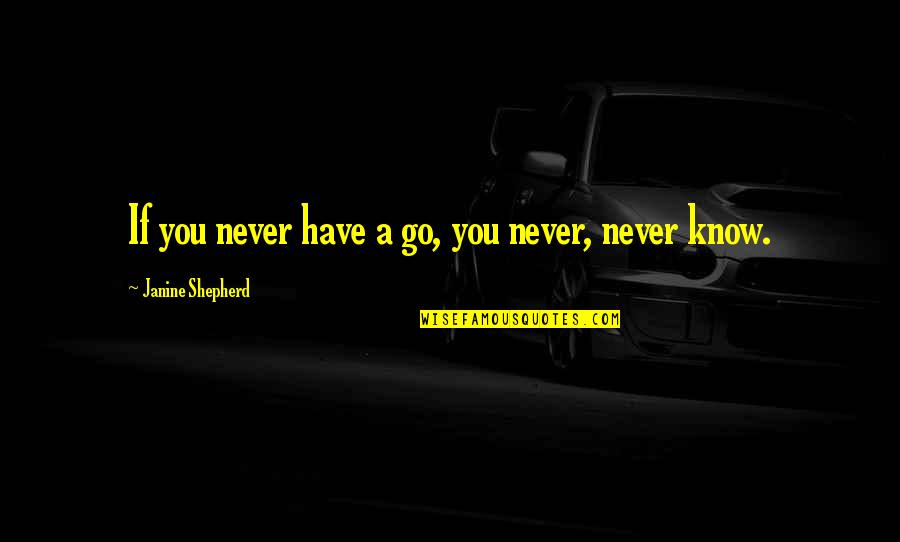 Jane Austen Inspired Quotes By Janine Shepherd: If you never have a go, you never,