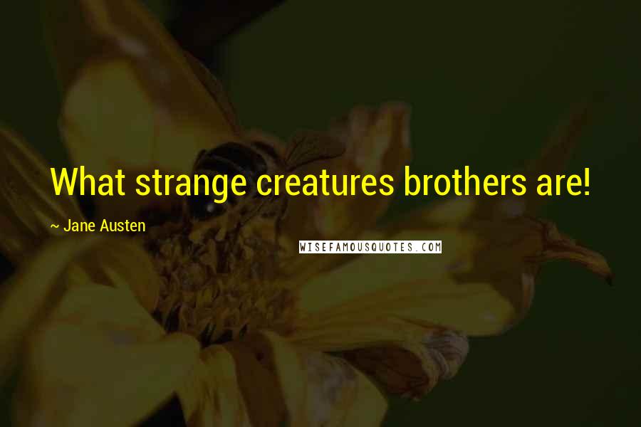 Jane Austen quotes: What strange creatures brothers are!