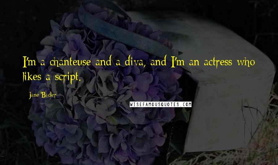 Jane Badler quotes: I'm a chanteuse and a diva, and I'm an actress who likes a script.