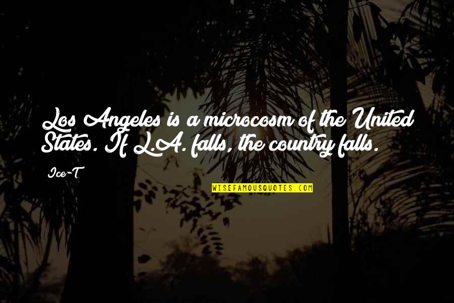 Jane Eyre's Appearance Quotes By Ice-T: Los Angeles is a microcosm of the United