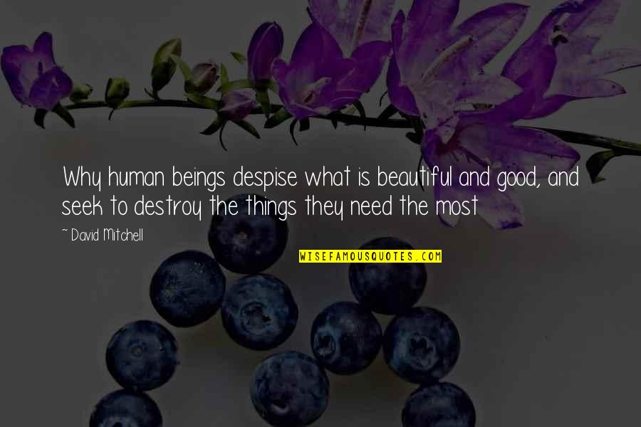 Jane Goodall Most Famous Quotes By David Mitchell: Why human beings despise what is beautiful and Jane Goodall Most Famous Quotes By David Mitchell: Why human beings despise what is beautiful and