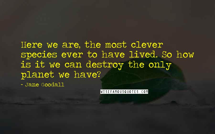 Jane Goodall quotes: Here we are, the most clever species ever to have lived. So how is it we can destroy the only planet we have? Jane Goodall quotes: Here we are, the most clever species ever to have lived. So how is it we can destroy the only planet we have?