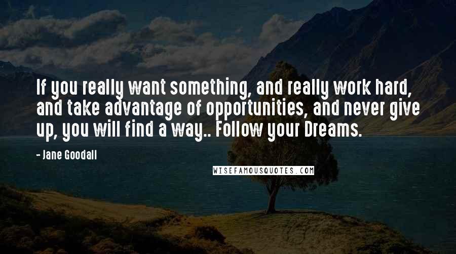 Jane Goodall quotes: If you really want something, and really work hard, and take advantage of opportunities, and never give up, you will find a way.. Follow your Dreams.