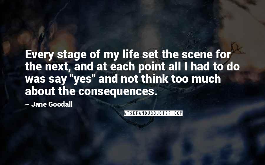 Jane Goodall quotes: Every stage of my life set the scene for the next, and at each point all I had to do was say "yes" and not think too much about the Jane Goodall quotes: Every stage of my life set the scene for the next, and at each point all I had to do was say "yes" and not think too much about the