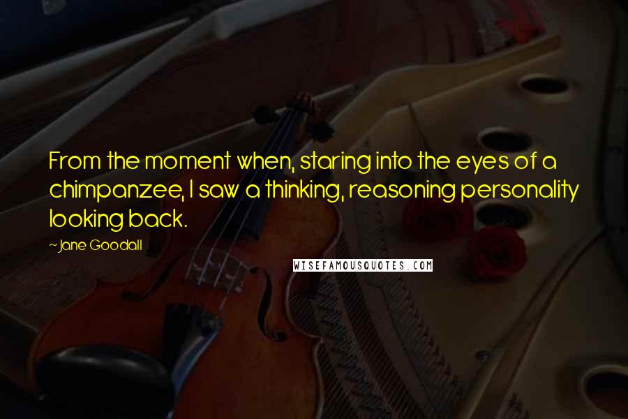 Jane Goodall quotes: From the moment when, staring into the eyes of a chimpanzee, I saw a thinking, reasoning personality looking back. Jane Goodall quotes: From the moment when, staring into the eyes of a chimpanzee, I saw a thinking, reasoning personality looking back.