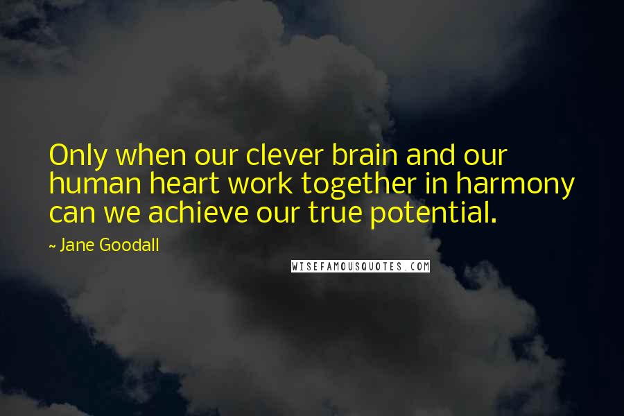 Jane Goodall quotes: Only when our clever brain and our human heart work together in harmony can we achieve our true potential. Jane Goodall quotes: Only when our clever brain and our human heart work together in harmony can we achieve our true potential.