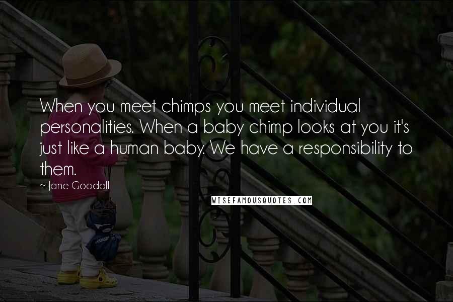 Jane Goodall quotes: When you meet chimps you meet individual personalities. When a baby chimp looks at you it's just like a human baby. We have a responsibility to them. Jane Goodall quotes: When you meet chimps you meet individual personalities. When a baby chimp looks at you it's just like a human baby. We have a responsibility to them.