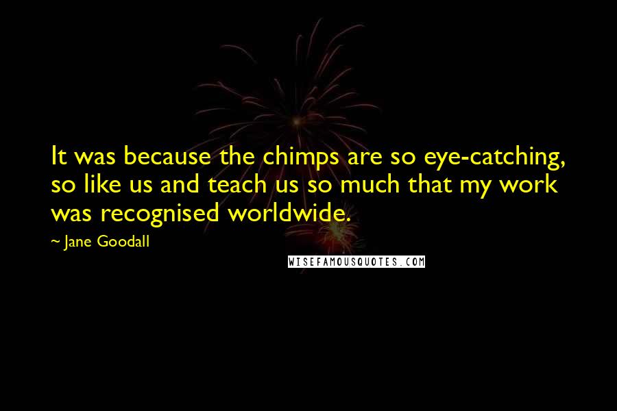 Jane Goodall quotes: It was because the chimps are so eye-catching, so like us and teach us so much that my work was recognised worldwide. Jane Goodall quotes: It was because the chimps are so eye-catching, so like us and teach us so much that my work was recognised worldwide.