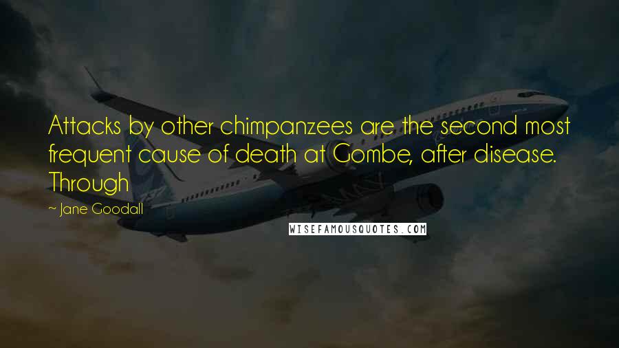 Jane Goodall quotes: Attacks by other chimpanzees are the second most frequent cause of death at Gombe, after disease. Through