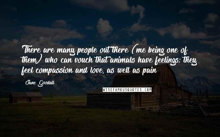 Jane Goodall quotes: There are many people out there (me being one of them) who can vouch that animals have feelings; they feel compassion and love, as well as pain! Jane Goodall quotes: There are many people out there (me being one of them) who can vouch that animals have feelings; they feel compassion and love, as well as pain!