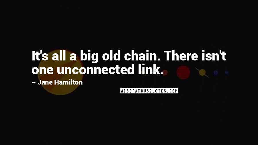 Jane Hamilton quotes: It's all a big old chain. There isn't one unconnected link.