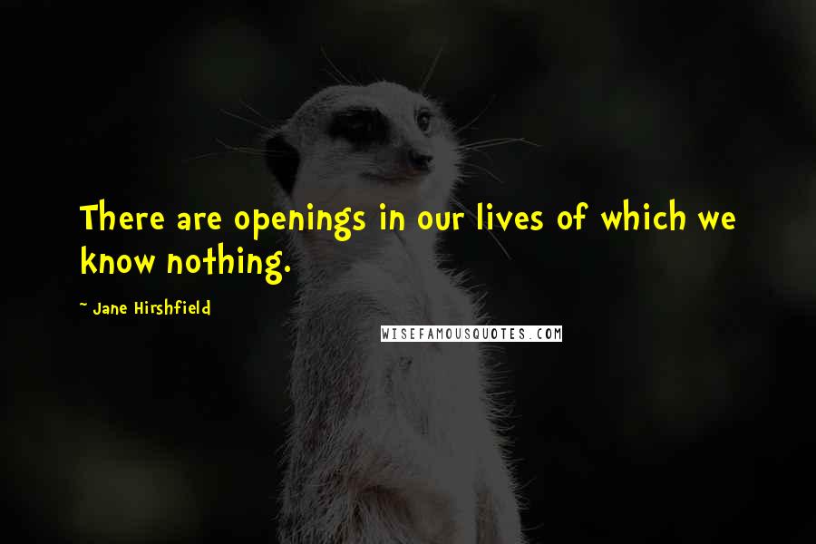 Jane Hirshfield quotes: There are openings in our lives of which we know nothing.