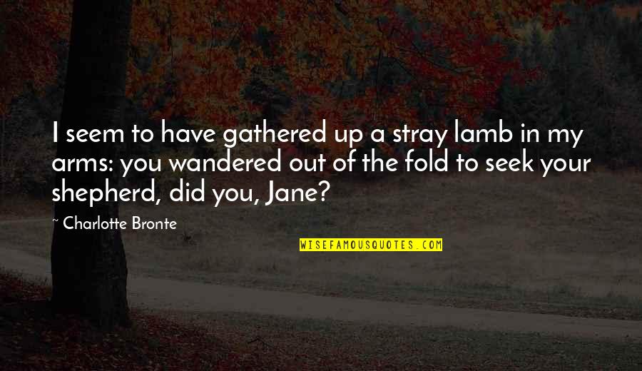 Jane In Jane Eyre Quotes By Charlotte Bronte: I seem to have gathered up a stray