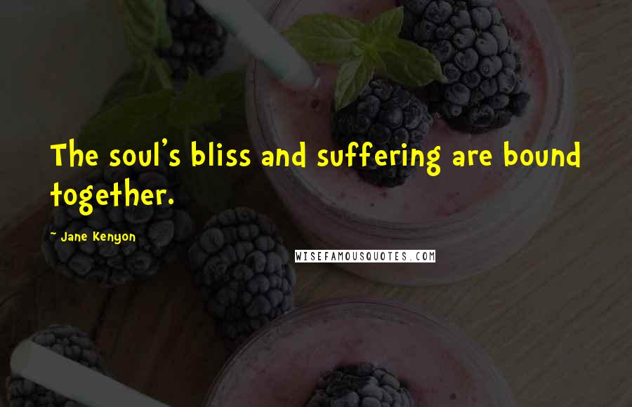 Jane Kenyon quotes: The soul's bliss and suffering are bound together.