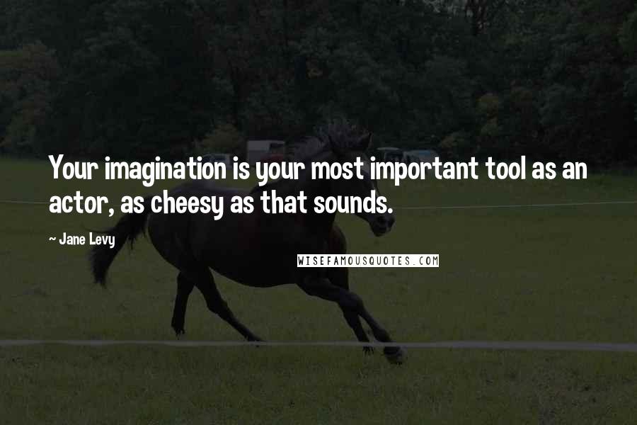 Jane Levy quotes: Your imagination is your most important tool as an actor, as cheesy as that sounds.