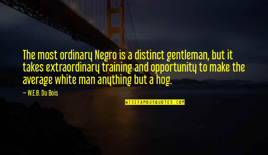Jane Sandanski Quotes By W.E.B. Du Bois: The most ordinary Negro is a distinct gentleman,