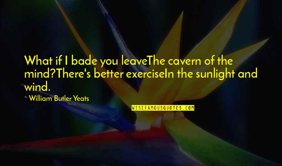 Jane To Astrid Quotes By William Butler Yeats: What if I bade you leaveThe cavern of Jane To Astrid Quotes By William Butler Yeats: What if I bade you leaveThe cavern of