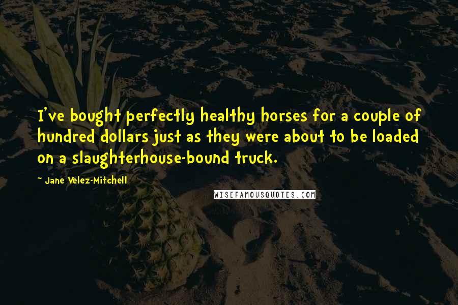 Jane Velez-Mitchell quotes: I've bought perfectly healthy horses for a couple of hundred dollars just as they were about to be loaded on a slaughterhouse-bound truck. Jane Velez-Mitchell quotes: I've bought perfectly healthy horses for a couple of hundred dollars just as they were about to be loaded on a slaughterhouse-bound truck.