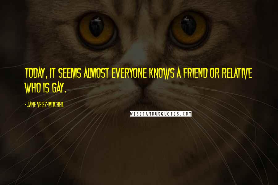 Jane Velez-Mitchell quotes: Today, it seems almost everyone knows a friend or relative who is gay.