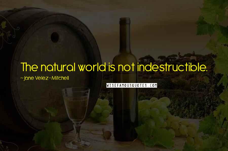 Jane Velez-Mitchell quotes: The natural world is not indestructible.