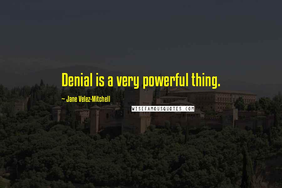 Jane Velez-Mitchell quotes: Denial is a very powerful thing.