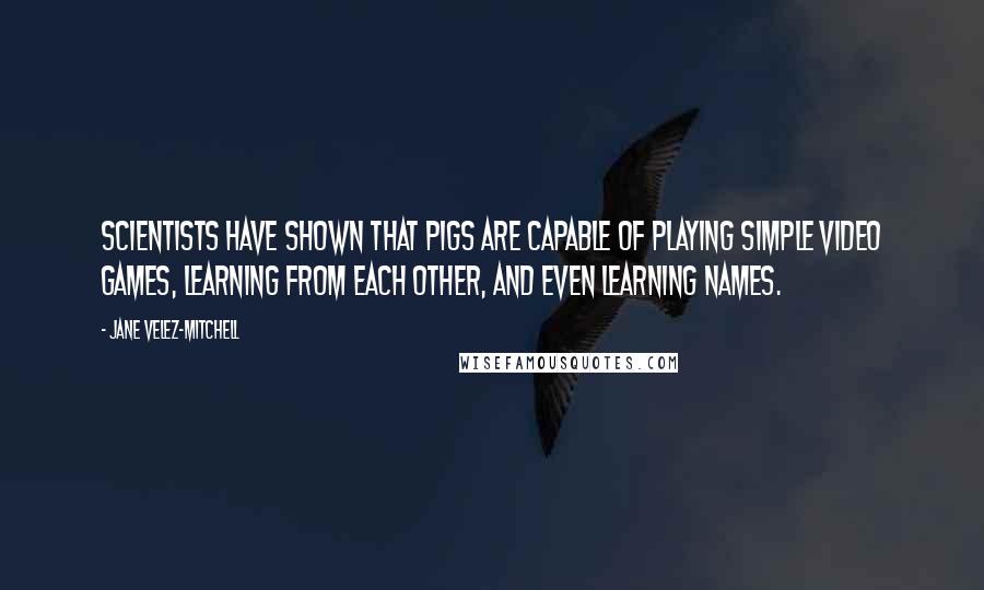 Jane Velez-Mitchell quotes: Scientists have shown that pigs are capable of playing simple video games, learning from each other, and even learning names. Jane Velez-Mitchell quotes: Scientists have shown that pigs are capable of playing simple video games, learning from each other, and even learning names.
