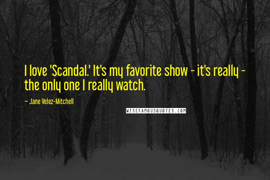 Jane Velez-Mitchell quotes: I love 'Scandal.' It's my favorite show - it's really - the only one I really watch.