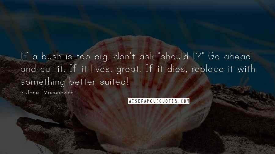 Janet Macunovich quotes: If a bush is too big, don't ask "should I?" Go ahead and cut it. If it lives, great. If it dies, replace it with something better suited! Janet Macunovich quotes: If a bush is too big, don't ask "should I?" Go ahead and cut it. If it lives, great. If it dies, replace it with something better suited!