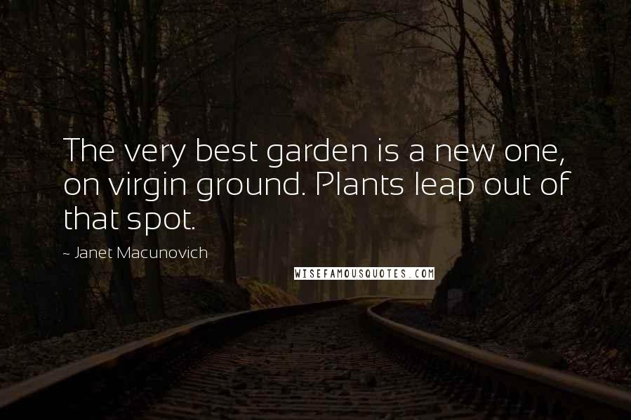 Janet Macunovich quotes: The very best garden is a new one, on virgin ground. Plants leap out of that spot.