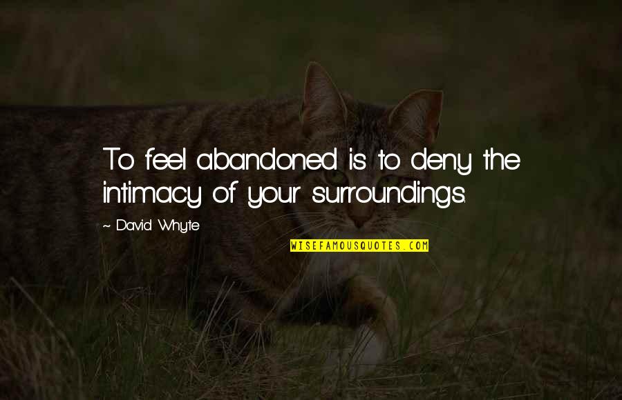 Janice Avery Quotes By David Whyte: To feel abandoned is to deny the intimacy