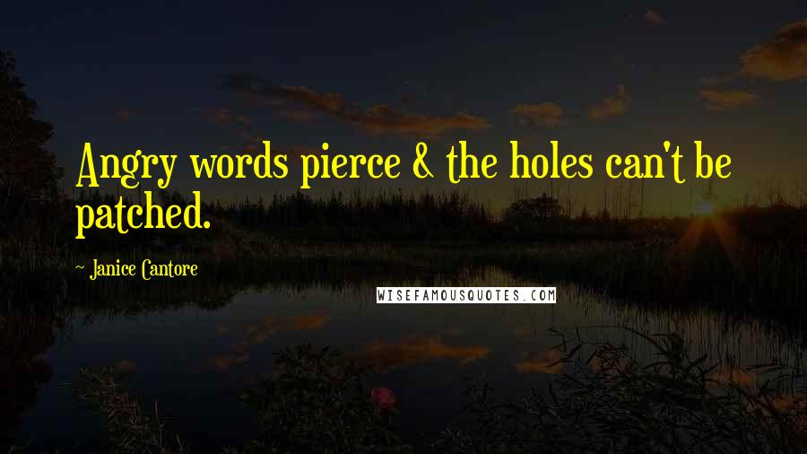 Janice Cantore quotes: Angry words pierce & the holes can't be patched.