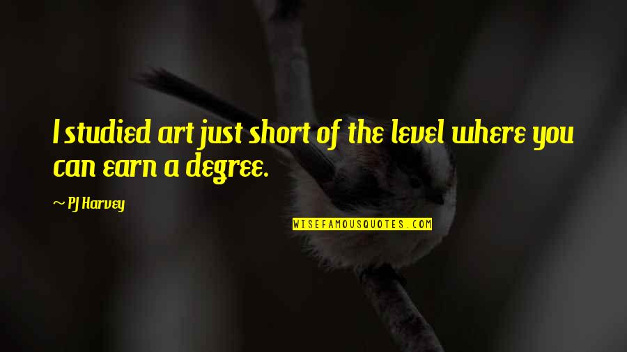 Janie Important Quotes By PJ Harvey: I studied art just short of the level