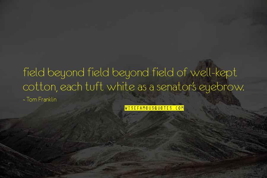 Janina Vela Quotes By Tom Franklin: field beyond field beyond field of well-kept cotton,