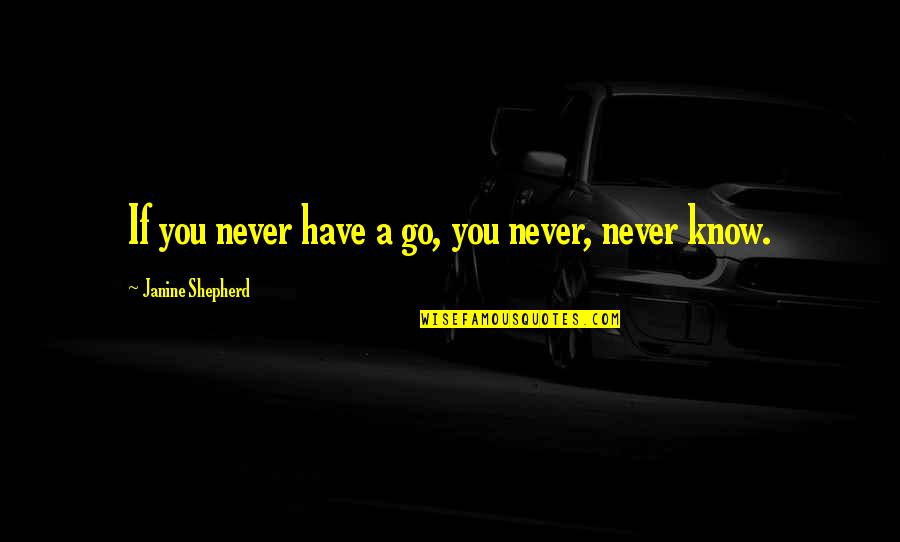 Janine Quotes By Janine Shepherd: If you never have a go, you never,