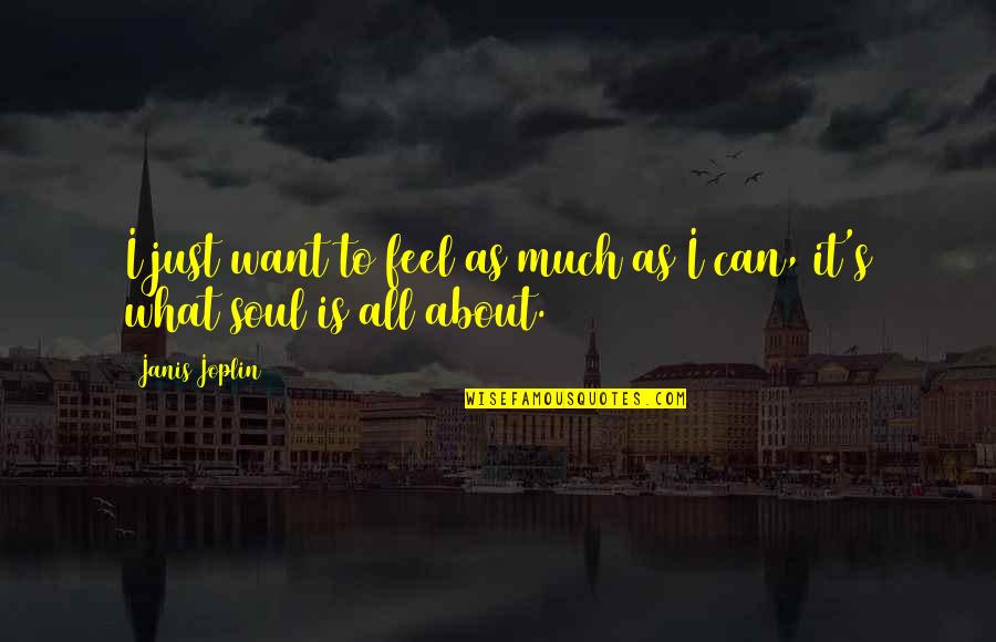 Janis's Quotes By Janis Joplin: I just want to feel as much as