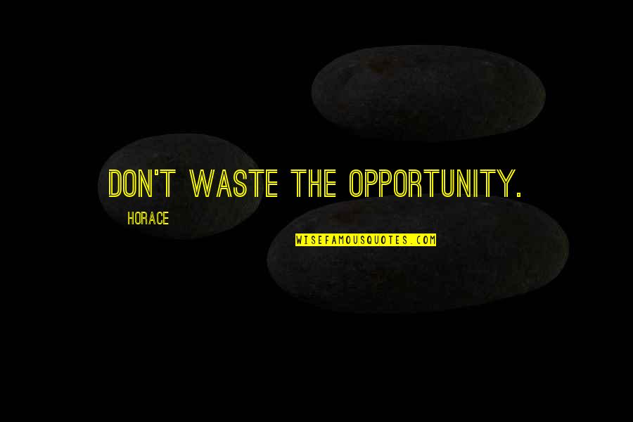 Janissary Corps Quotes By Horace: Don't waste the opportunity.