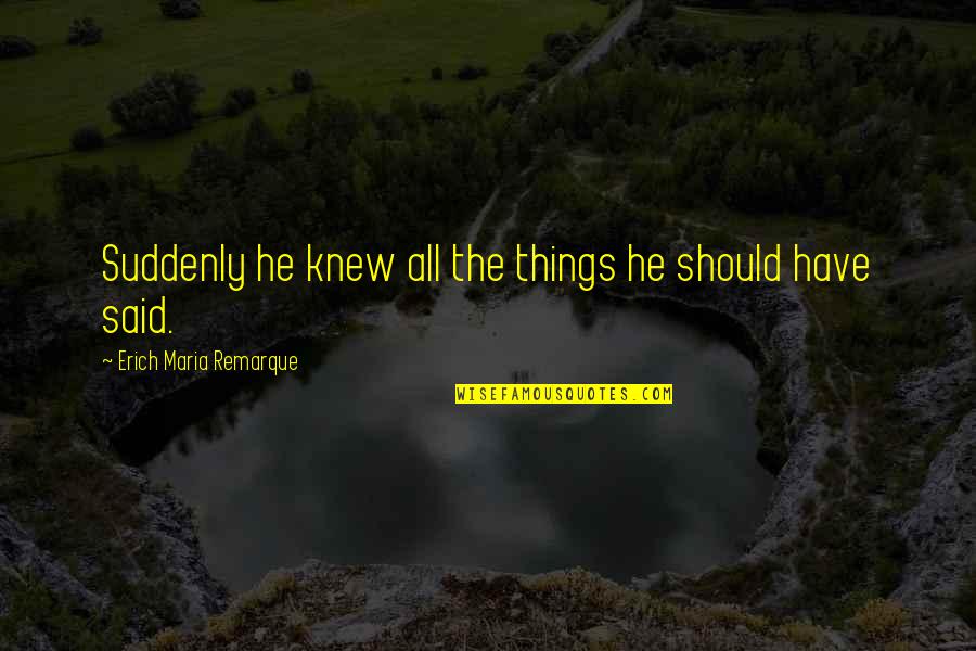 Jannatul Baqi Quotes By Erich Maria Remarque: Suddenly he knew all the things he should Jannatul Baqi Quotes By Erich Maria Remarque: Suddenly he knew all the things he should