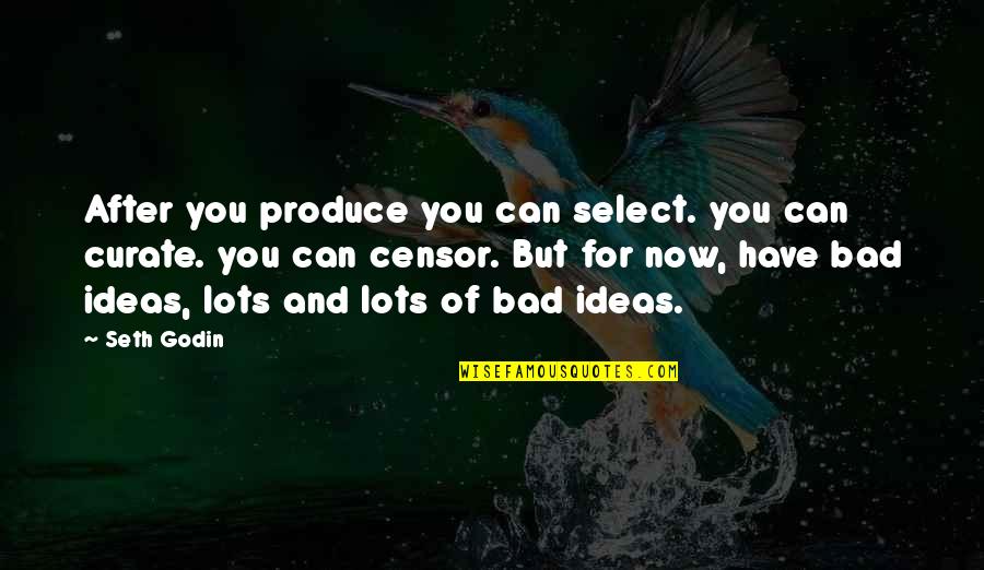 Jannesschijdsrechter Quotes By Seth Godin: After you produce you can select. you can Jannesschijdsrechter Quotes By Seth Godin: After you produce you can select. you can