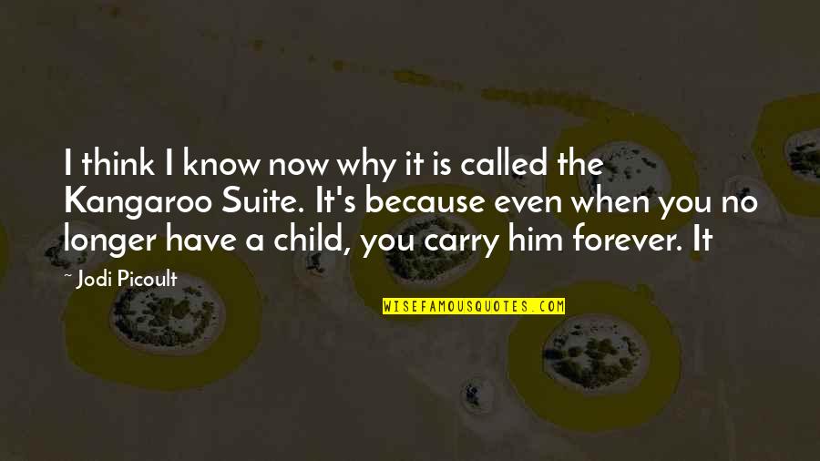 Jannike Stelling Quotes By Jodi Picoult: I think I know now why it is Jannike Stelling Quotes By Jodi Picoult: I think I know now why it is