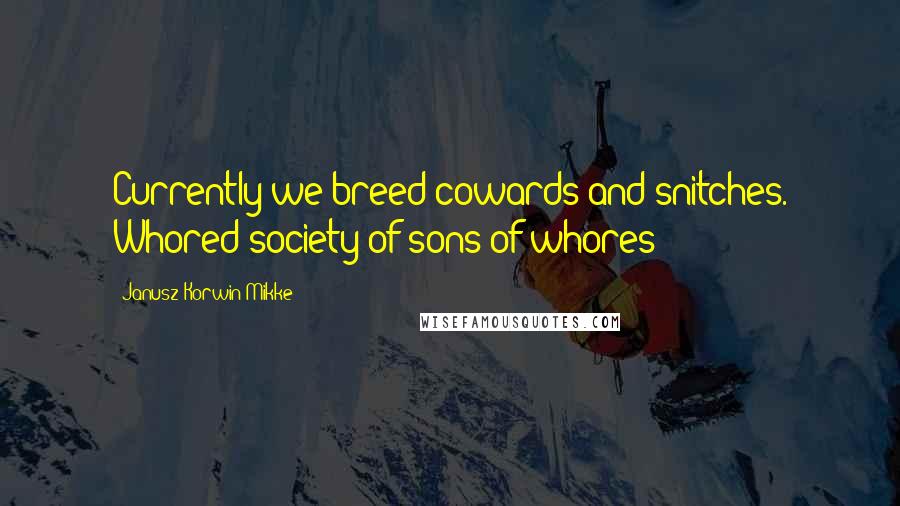 Janusz Korwin-Mikke quotes: Currently we breed cowards and snitches. Whored society of sons of whores!