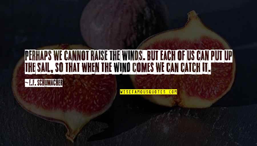 Japanese Aikido Quotes By E.F. Schumacher: Perhaps we cannot raise the winds. But each Japanese Aikido Quotes By E.F. Schumacher: Perhaps we cannot raise the winds. But each