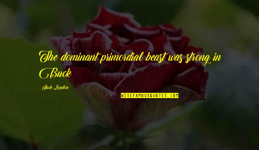 Japanese Evil Quotes By Jack London: The dominant primordial beast was strong in Buck Japanese Evil Quotes By Jack London: The dominant primordial beast was strong in Buck
