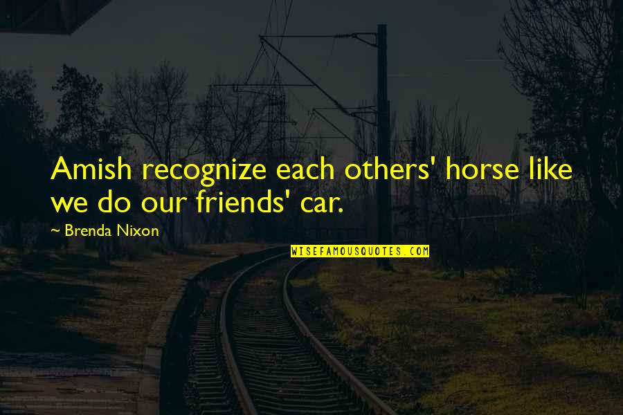 Japenese Quotes By Brenda Nixon: Amish recognize each others' horse like we do