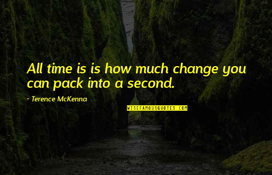 Jaqueca Que Quotes By Terence McKenna: All time is is how much change you