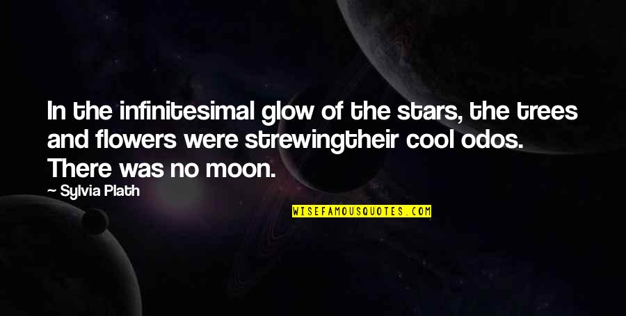 Jar Quotes By Sylvia Plath: In the infinitesimal glow of the stars, the