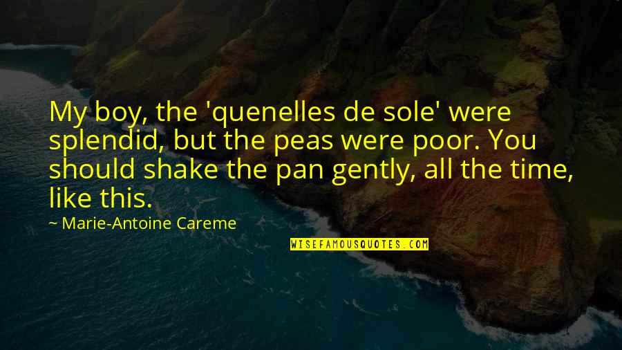 Jardiel Poncela Quotes By Marie-Antoine Careme: My boy, the 'quenelles de sole' were splendid,
