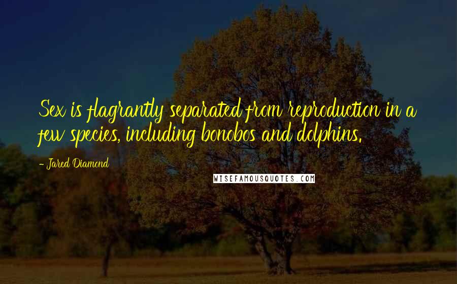 Jared Diamond quotes: Sex is flagrantly separated from reproduction in a few species, including bonobos and dolphins.